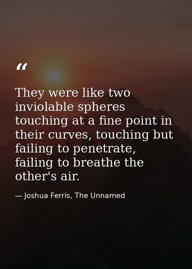 They were like two inviolable spheres touching at a fine point in their curves, touching but failing to penetrate, faili — Joshua Ferris, The Unnamed