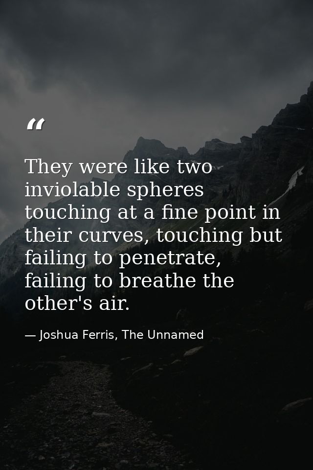 They were like two inviolable spheres touching at a fine point in their curves, touching but failing to penetrate, faili — Joshua Ferris, The Unnamed