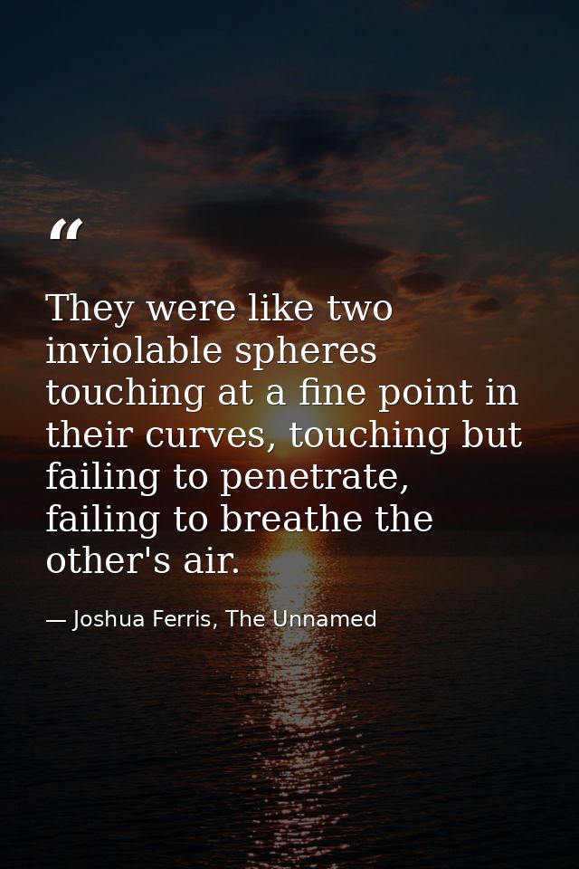 They were like two inviolable spheres touching at a fine point in their curves, touching but failing to penetrate, faili — Joshua Ferris, The Unnamed