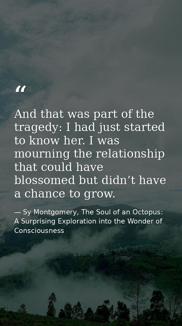 And that was part of the tragedy: I had just started to know her. I was mourning the relationship that could have blosso — Sy Montgomery, The Soul of an Octopus: A Surprising Exploration into the Wonder of Consciousness