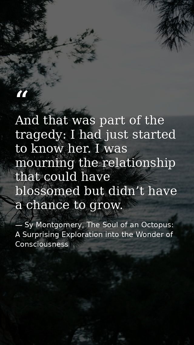 And that was part of the tragedy: I had just started to know her. I was mourning the relationship that could have blosso — Sy Montgomery, The Soul of an Octopus: A Surprising Exploration into the Wonder of Consciousness