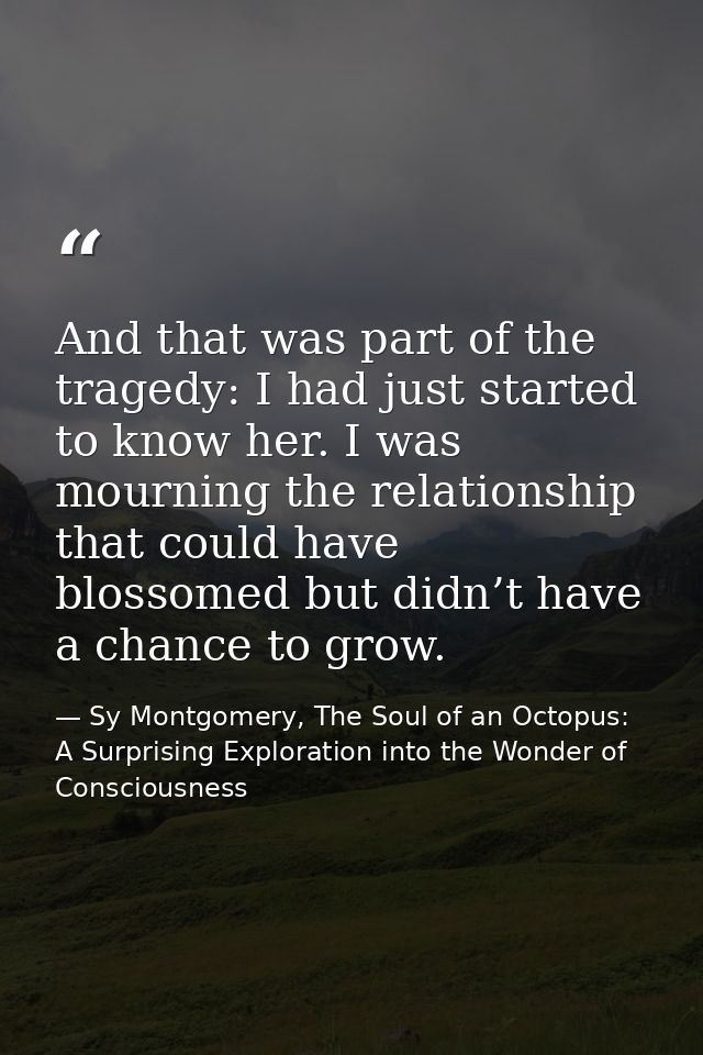 And that was part of the tragedy: I had just started to know her. I was mourning the relationship that could have blosso — Sy Montgomery, The Soul of an Octopus: A Surprising Exploration into the Wonder of Consciousness