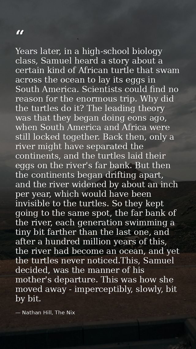 Years later, in a high-school biology class, Samuel heard a story about a certain kind of African turtle that swam acros — Nathan Hill, The Nix