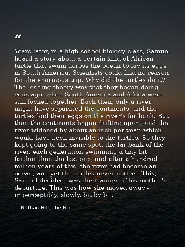 Years later, in a high-school biology class, Samuel heard a story about a certain kind of African turtle that swam acros — Nathan Hill, The Nix