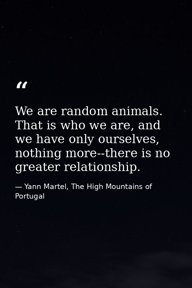 We are random animals. That is who we are, and we have only ourselves, nothing more--there is no greater relationship. — Yann Martel, The High Mountains of Portugal