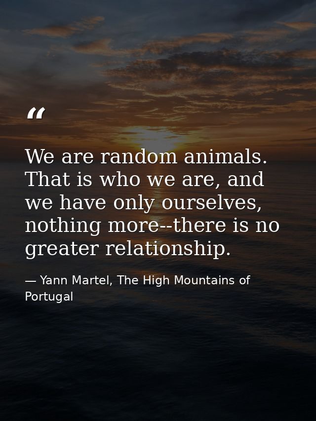We are random animals. That is who we are, and we have only ourselves, nothing more--there is no greater relationship. — Yann Martel, The High Mountains of Portugal