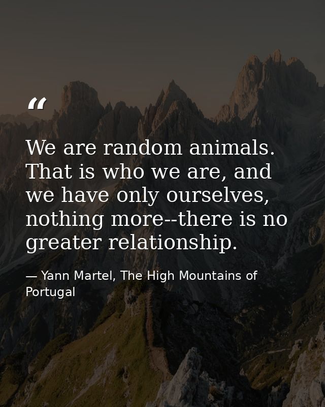 We are random animals. That is who we are, and we have only ourselves, nothing more--there is no greater relationship. — Yann Martel, The High Mountains of Portugal