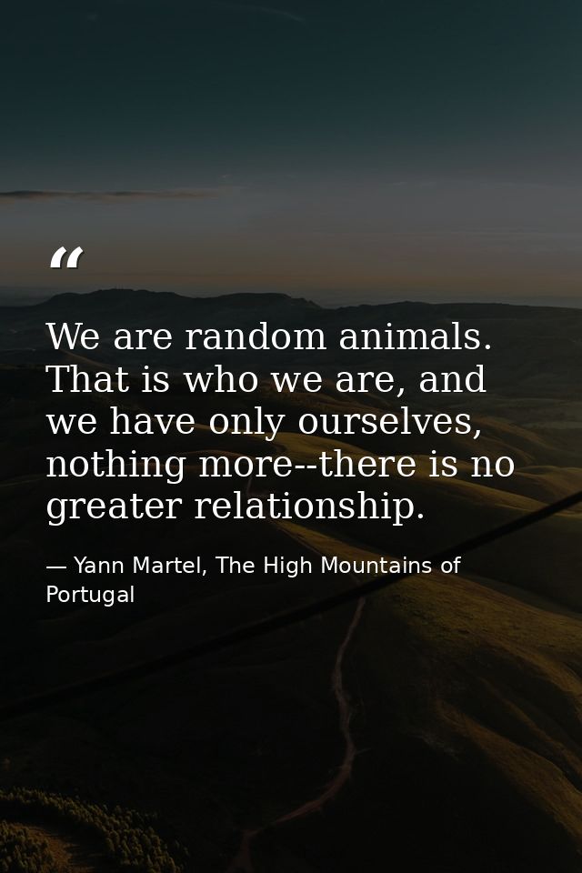 We are random animals. That is who we are, and we have only ourselves, nothing more--there is no greater relationship. — Yann Martel, The High Mountains of Portugal
