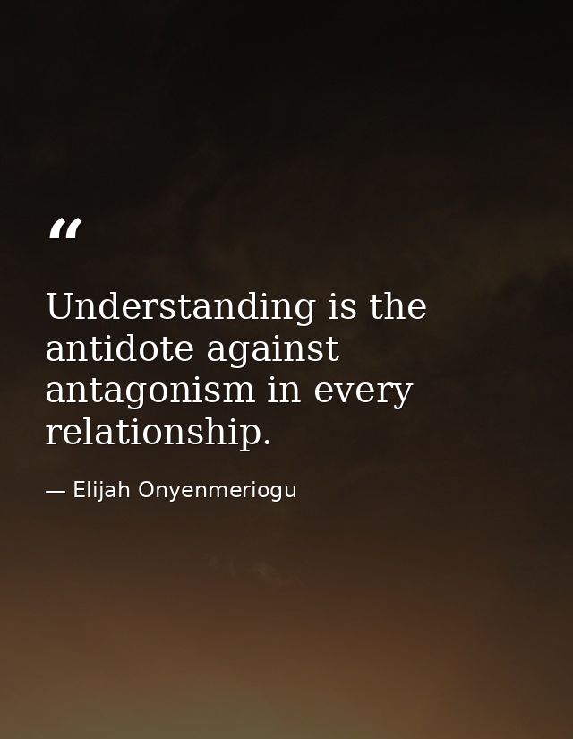 Understanding is the antidote against antagonism in every relationship. — Elijah Onyenmeriogu