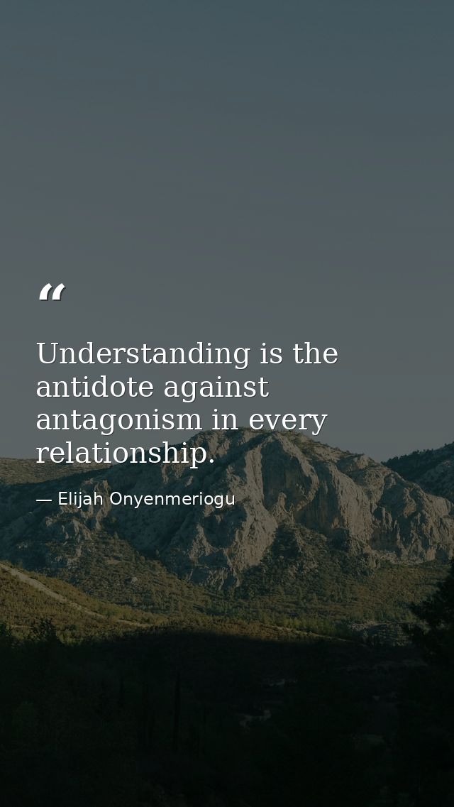 Understanding is the antidote against antagonism in every relationship. — Elijah Onyenmeriogu