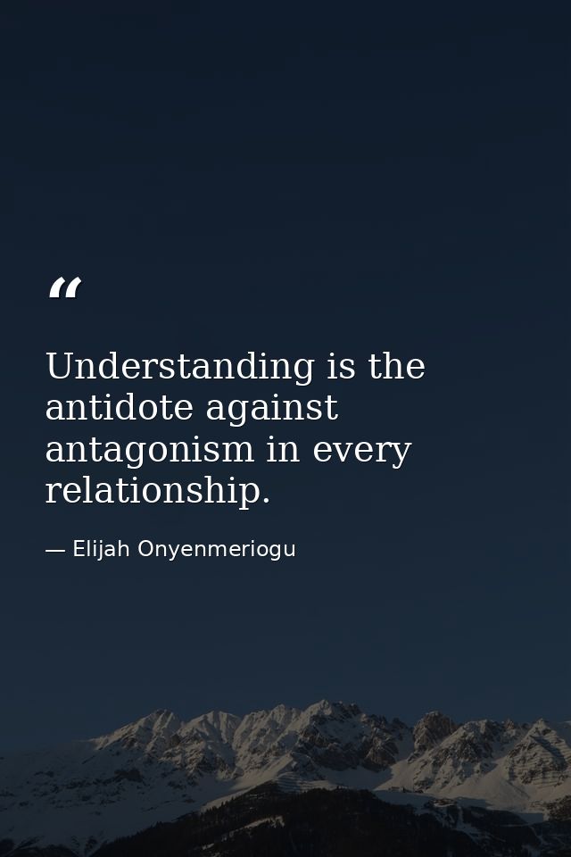 Understanding is the antidote against antagonism in every relationship. — Elijah Onyenmeriogu