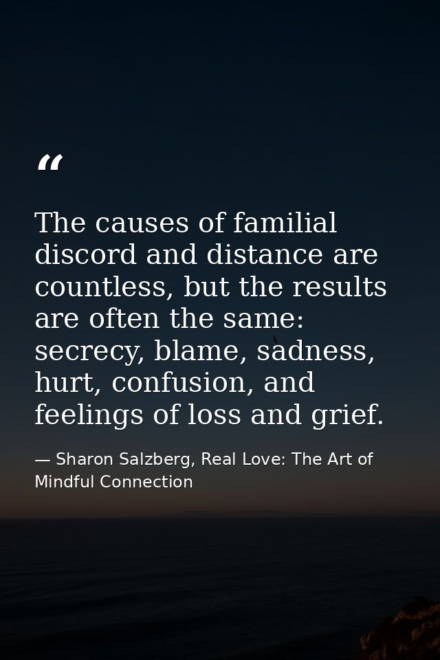 The causes of familial discord and distance are countless, but the results are often the same: secrecy, blame, sadness,  — Sharon Salzberg, Real Love: The Art of Mindful Connection