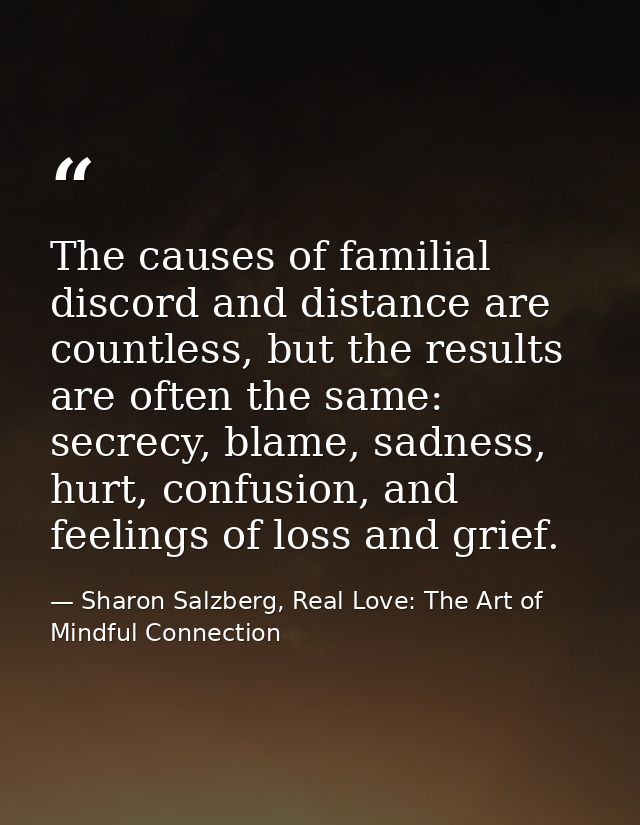 The causes of familial discord and distance are countless, but the results are often the same: secrecy, blame, sadness,  — Sharon Salzberg, Real Love: The Art of Mindful Connection