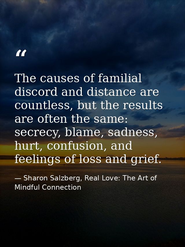 The causes of familial discord and distance are countless, but the results are often the same: secrecy, blame, sadness,  — Sharon Salzberg, Real Love: The Art of Mindful Connection