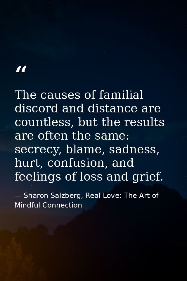 The causes of familial discord and distance are countless, but the results are often the same: secrecy, blame, sadness,  — Sharon Salzberg, Real Love: The Art of Mindful Connection