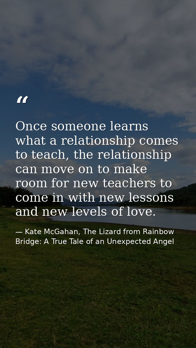 Once someone learns what a relationship comes to teach, the relationship can move on to make room for new teachers to co — Kate McGahan, The Lizard from Rainbow Bridge: A True Tale of an Unexpected Angel