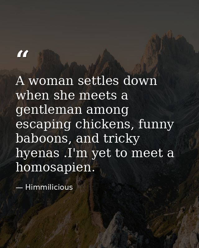 A woman settles down when she meets a gentleman among escaping chickens, funny baboons, and tricky hyenas .I'm yet to me — Himmilicious