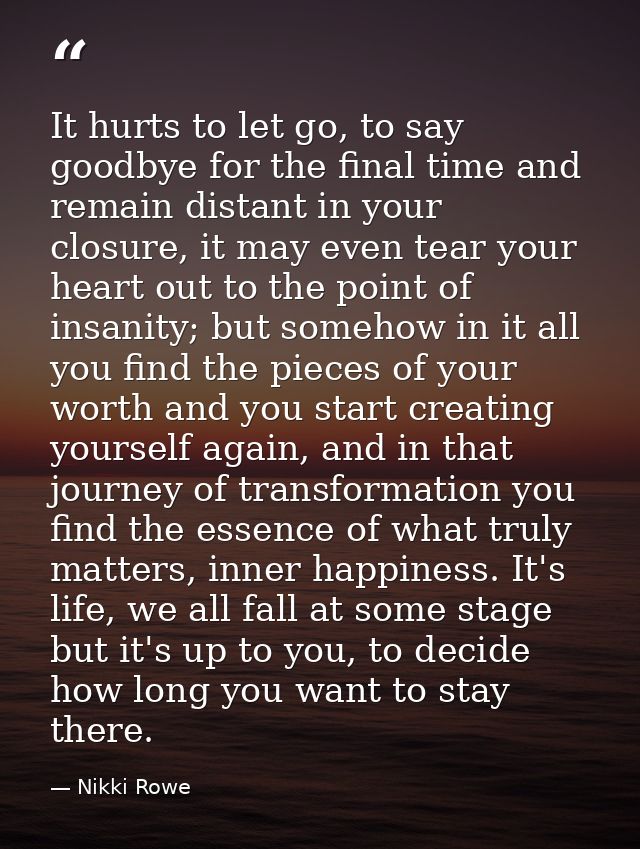 It hurts to let go, to say goodbye for the final time and remain distant in your closure, it may even tear your heart ou — Nikki Rowe