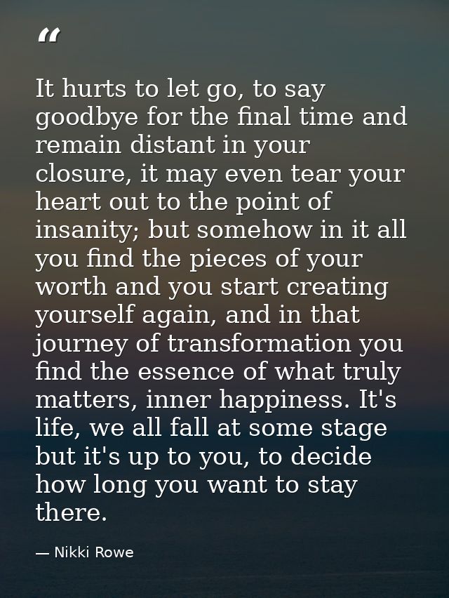 It hurts to let go, to say goodbye for the final time and remain distant in your closure, it may even tear your heart ou — Nikki Rowe