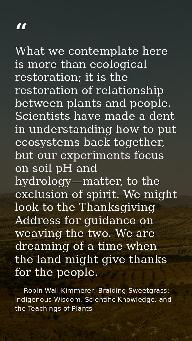 What we contemplate here is more than ecological restoration; it is the restoration of relationship between plants and p — Robin Wall Kimmerer, Braiding Sweetgrass: Indigenous Wisdom, Scientific Knowledge, and the Teachings of Plants