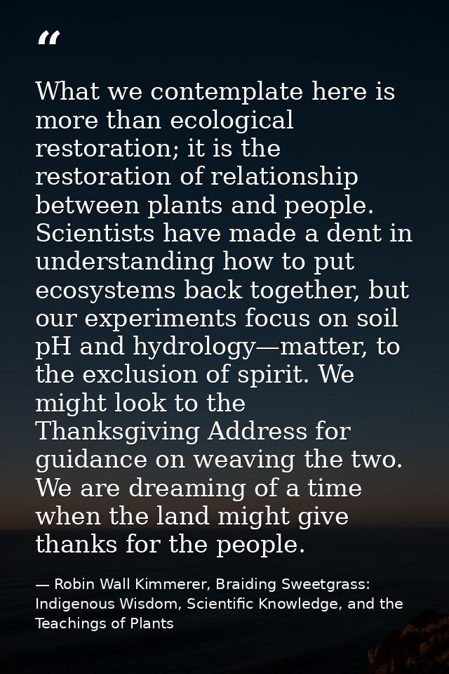 What we contemplate here is more than ecological restoration; it is the restoration of relationship between plants and p — Robin Wall Kimmerer, Braiding Sweetgrass: Indigenous Wisdom, Scientific Knowledge, and the Teachings of Plants