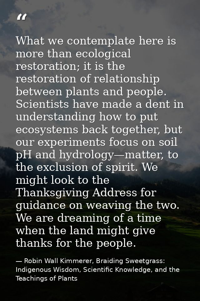What we contemplate here is more than ecological restoration; it is the restoration of relationship between plants and p — Robin Wall Kimmerer, Braiding Sweetgrass: Indigenous Wisdom, Scientific Knowledge, and the Teachings of Plants