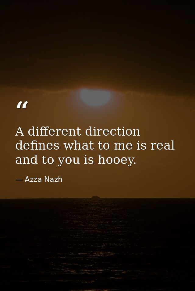 A different direction defines what to me is real and to you is hooey. — Azza Nazh