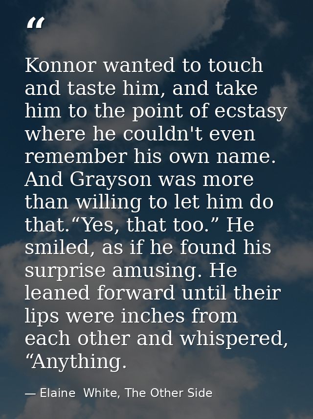 Konnor wanted to touch and taste him, and take him to the point of ecstasy where he couldn't even remember his own name. — Elaine  White, The Other Side