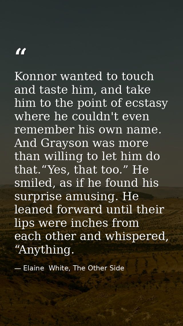 Konnor wanted to touch and taste him, and take him to the point of ecstasy where he couldn't even remember his own name. — Elaine  White, The Other Side