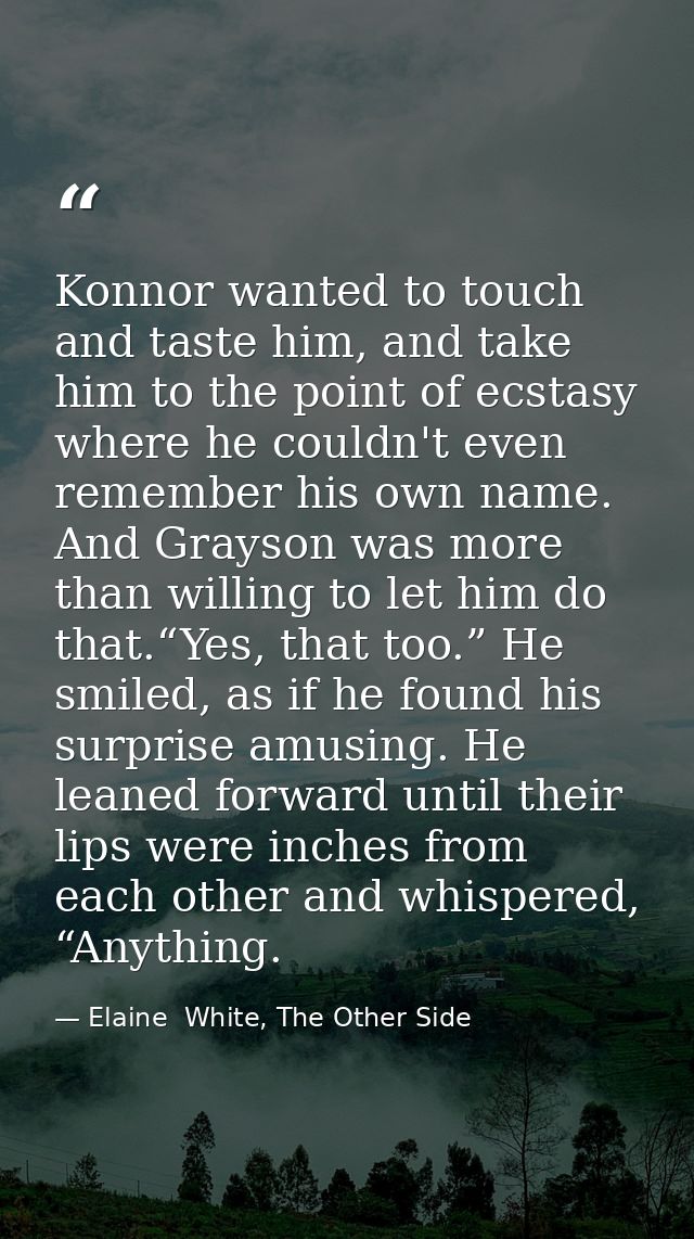 Konnor wanted to touch and taste him, and take him to the point of ecstasy where he couldn't even remember his own name. — Elaine  White, The Other Side
