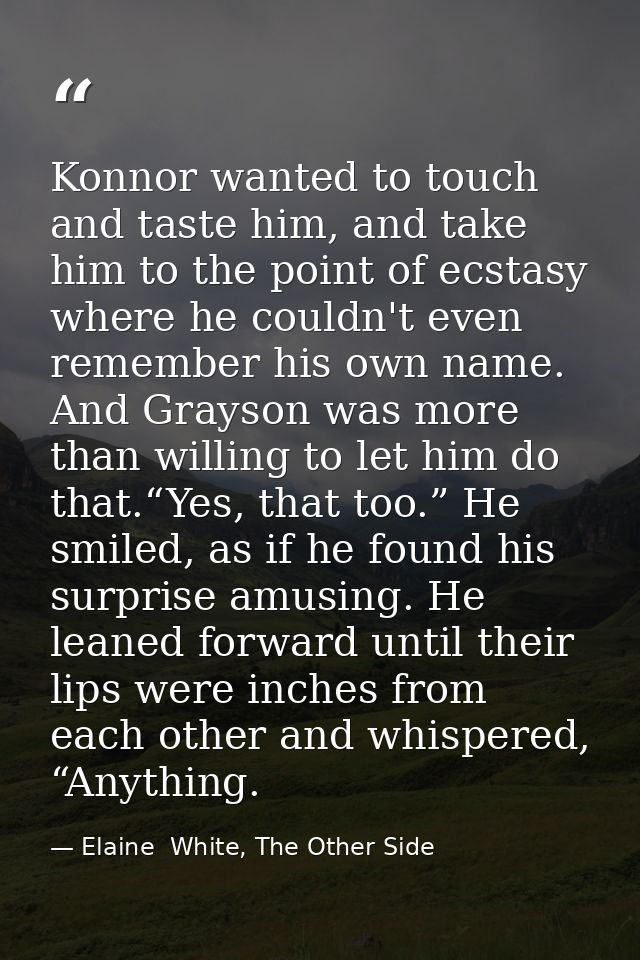 Konnor wanted to touch and taste him, and take him to the point of ecstasy where he couldn't even remember his own name. — Elaine  White, The Other Side