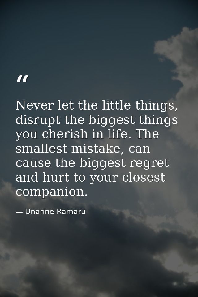 Never let the little things, disrupt the biggest things you cherish in life. The smallest mistake, can cause the biggest — Unarine Ramaru
