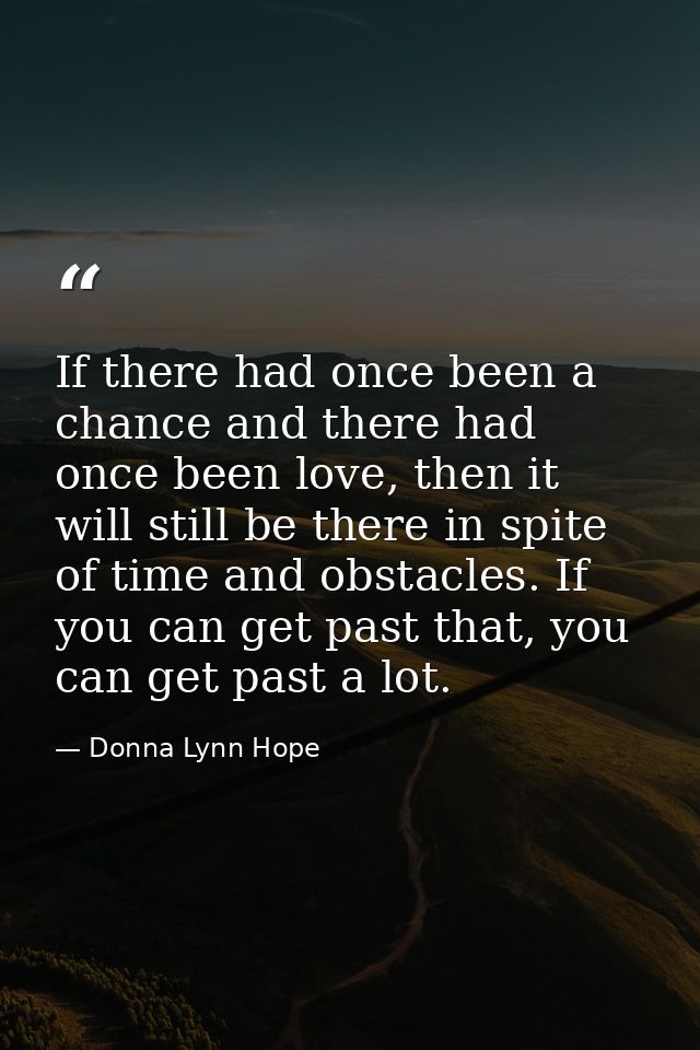 If there had once been a chance and there had once been love, then it will still be there in spite of time and obstacles — Donna Lynn Hope