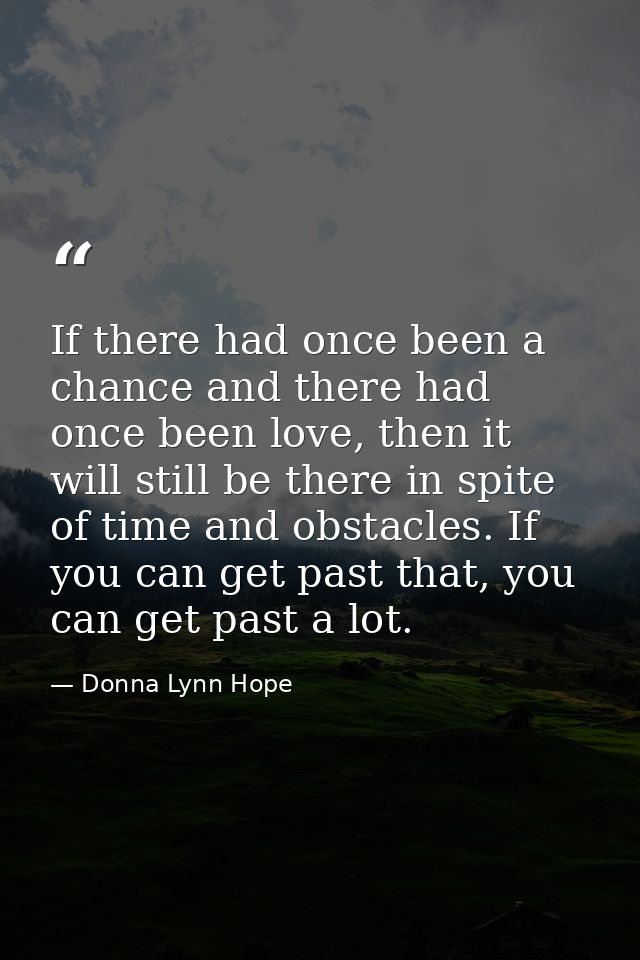 If there had once been a chance and there had once been love, then it will still be there in spite of time and obstacles — Donna Lynn Hope