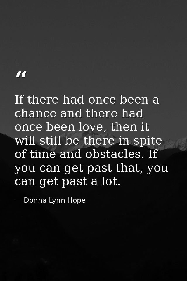 If there had once been a chance and there had once been love, then it will still be there in spite of time and obstacles — Donna Lynn Hope