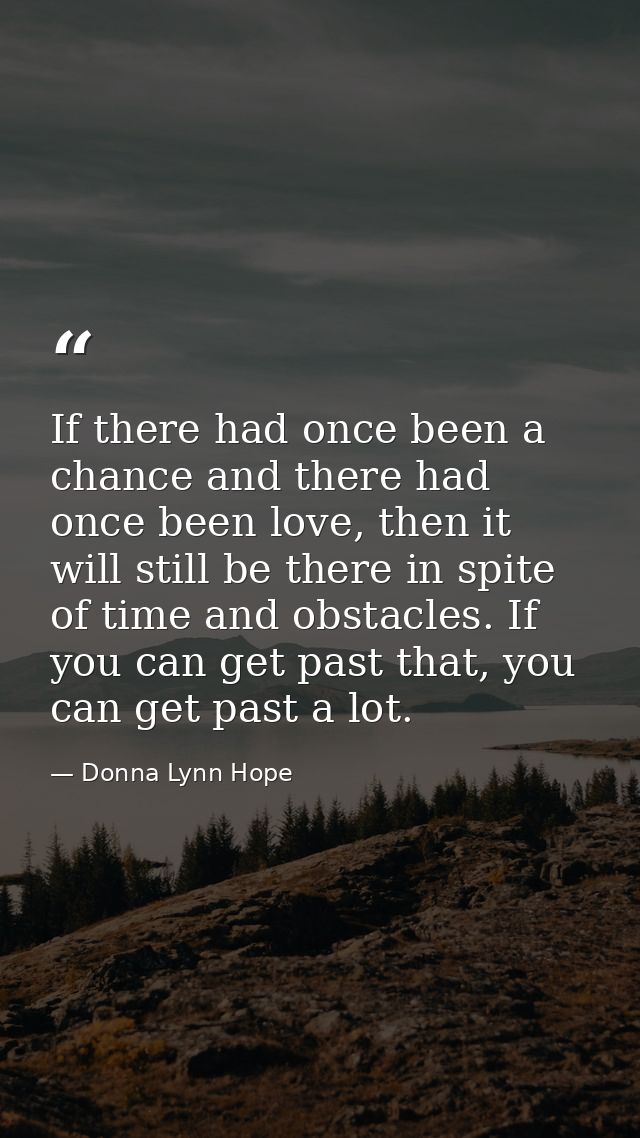 If there had once been a chance and there had once been love, then it will still be there in spite of time and obstacles — Donna Lynn Hope