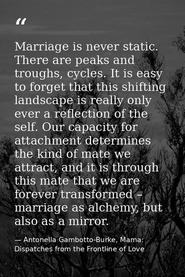Marriage is never static. There are peaks and troughs, cycles. It is easy to forget that this shifting landscape is real — Antonella Gambotto-Burke, Mama: Dispatches from the Frontline of Love