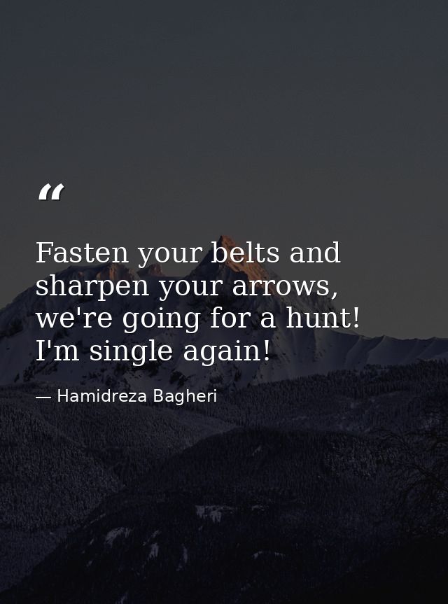 Fasten your belts and sharpen your arrows, we're going for a hunt! I'm single again! — Hamidreza Bagheri