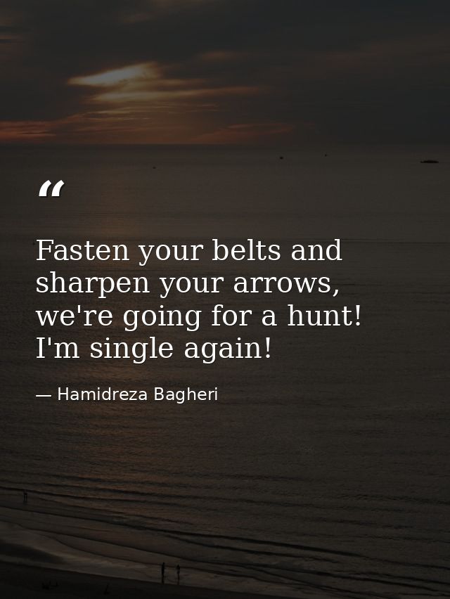 Fasten your belts and sharpen your arrows, we're going for a hunt! I'm single again! — Hamidreza Bagheri