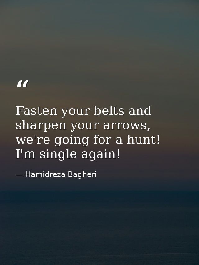 Fasten your belts and sharpen your arrows, we're going for a hunt! I'm single again! — Hamidreza Bagheri