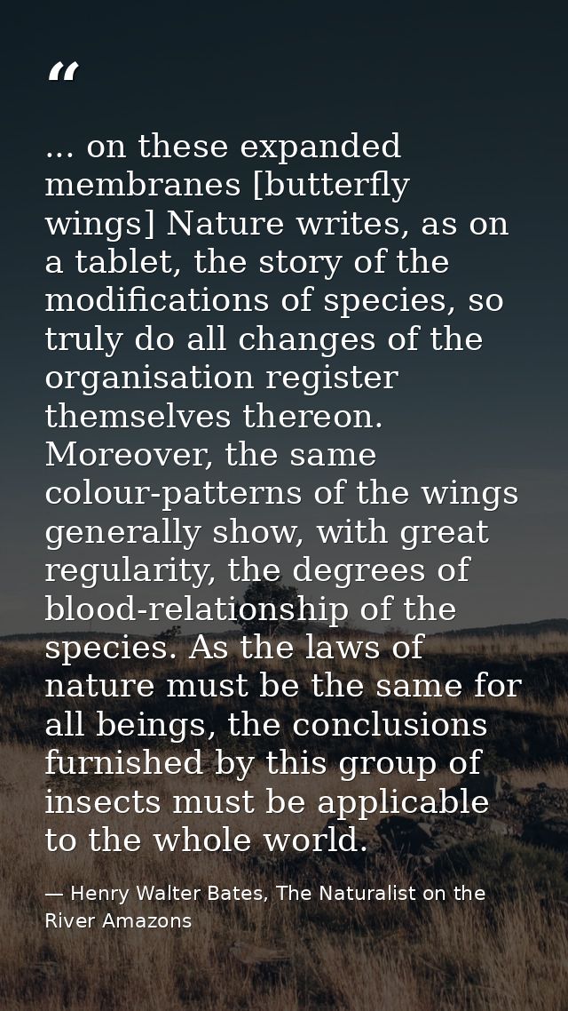 ... on these expanded membranes [butterfly wings] Nature writes, as on a tablet, the story of the modifications of speci — Henry Walter Bates, The Naturalist on the River Amazons