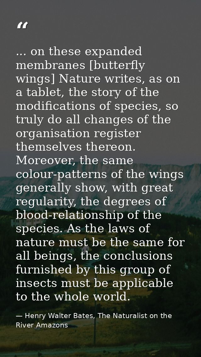 ... on these expanded membranes [butterfly wings] Nature writes, as on a tablet, the story of the modifications of speci — Henry Walter Bates, The Naturalist on the River Amazons