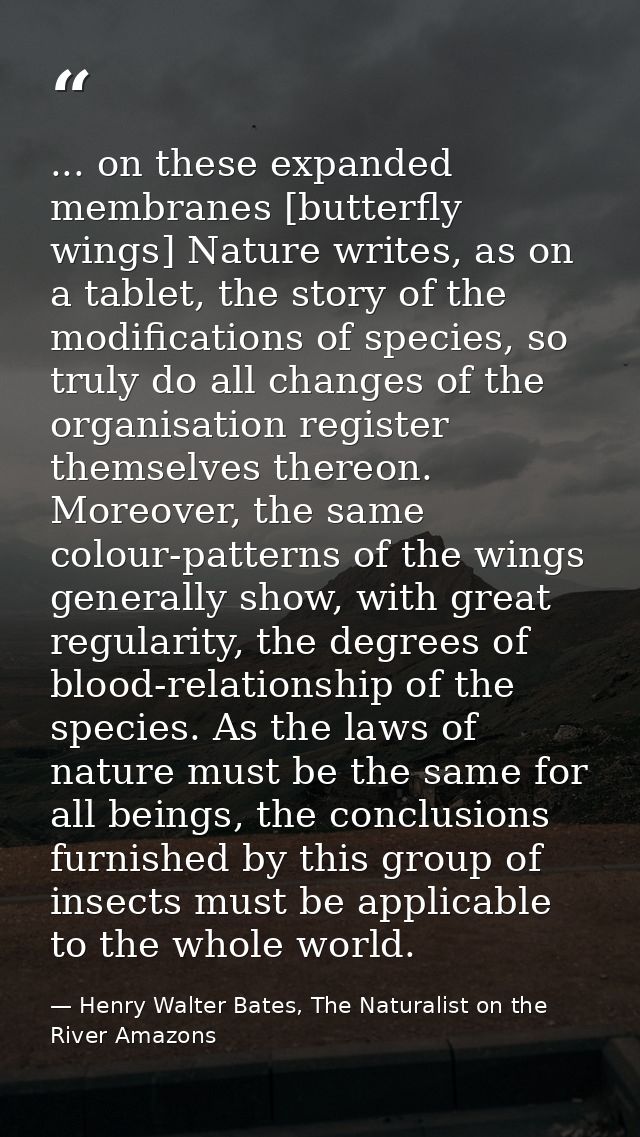 ... on these expanded membranes [butterfly wings] Nature writes, as on a tablet, the story of the modifications of speci — Henry Walter Bates, The Naturalist on the River Amazons