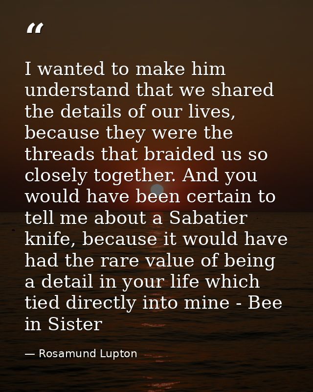 I wanted to make him understand that we shared the details of our lives, because they were the threads that braided us s — Rosamund Lupton