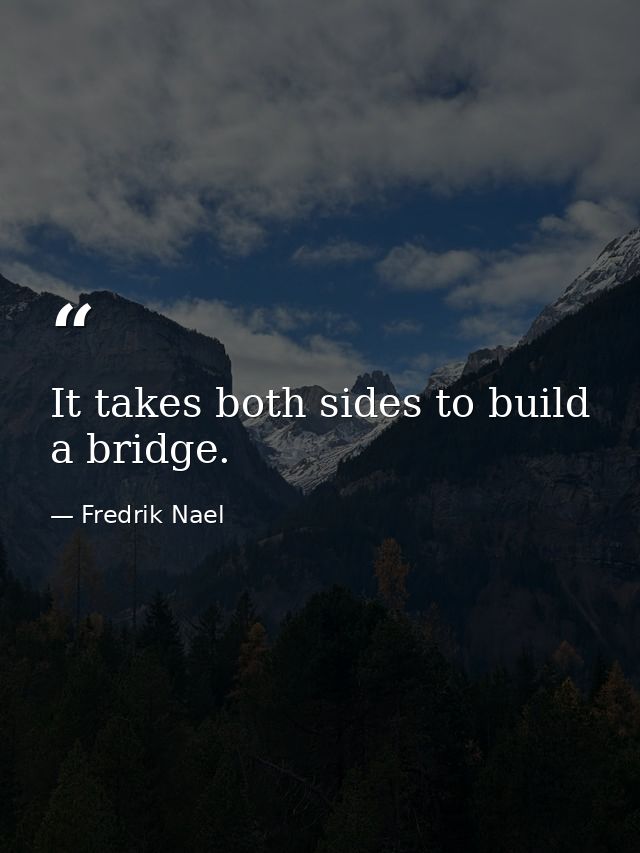 It takes both sides to build a bridge. — Fredrik Nael