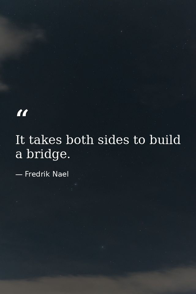 It takes both sides to build a bridge. — Fredrik Nael