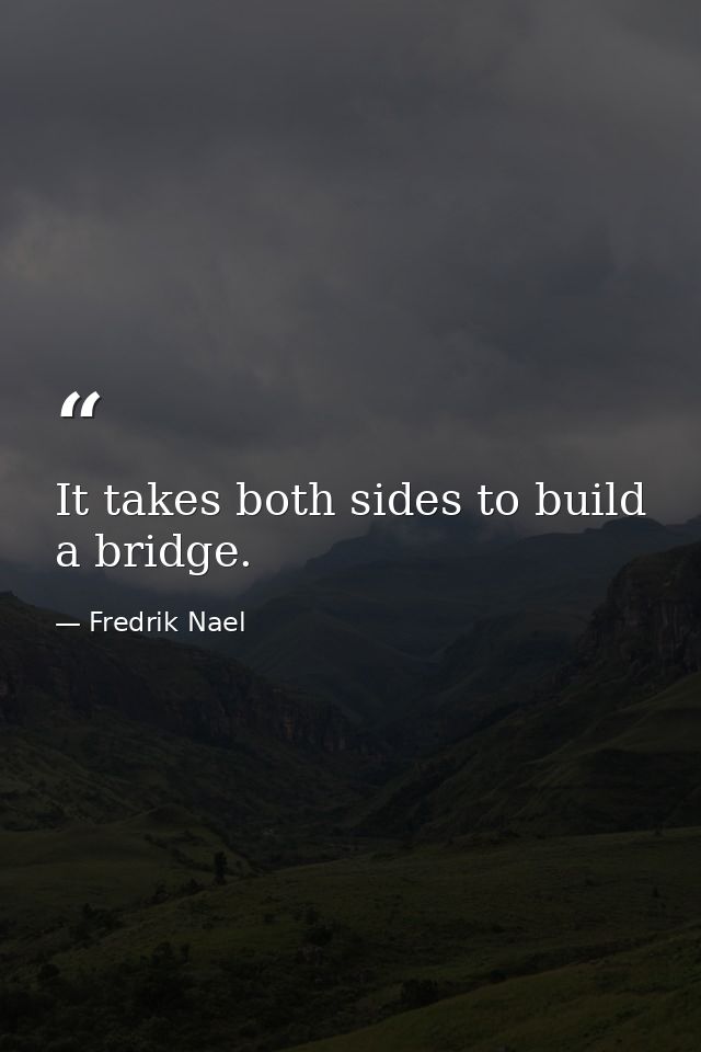 It takes both sides to build a bridge. — Fredrik Nael