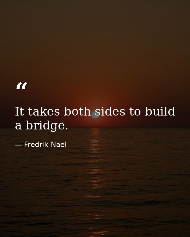 It takes both sides to build a bridge. — Fredrik Nael