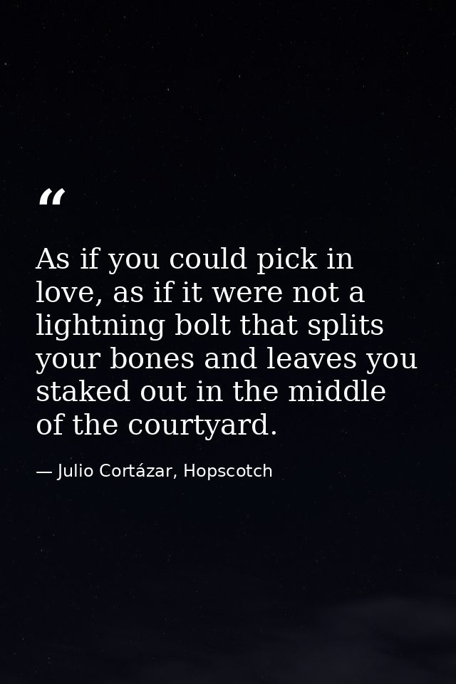 As if you could pick in love, as if it were not a lightning bolt that splits your bones and leaves you staked out in the — Julio Cortázar, Hopscotch