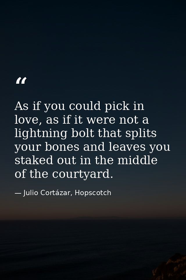 As if you could pick in love, as if it were not a lightning bolt that splits your bones and leaves you staked out in the — Julio Cortázar, Hopscotch